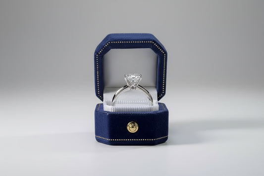 Lumière Royale : L’Éclat d'un Engagement